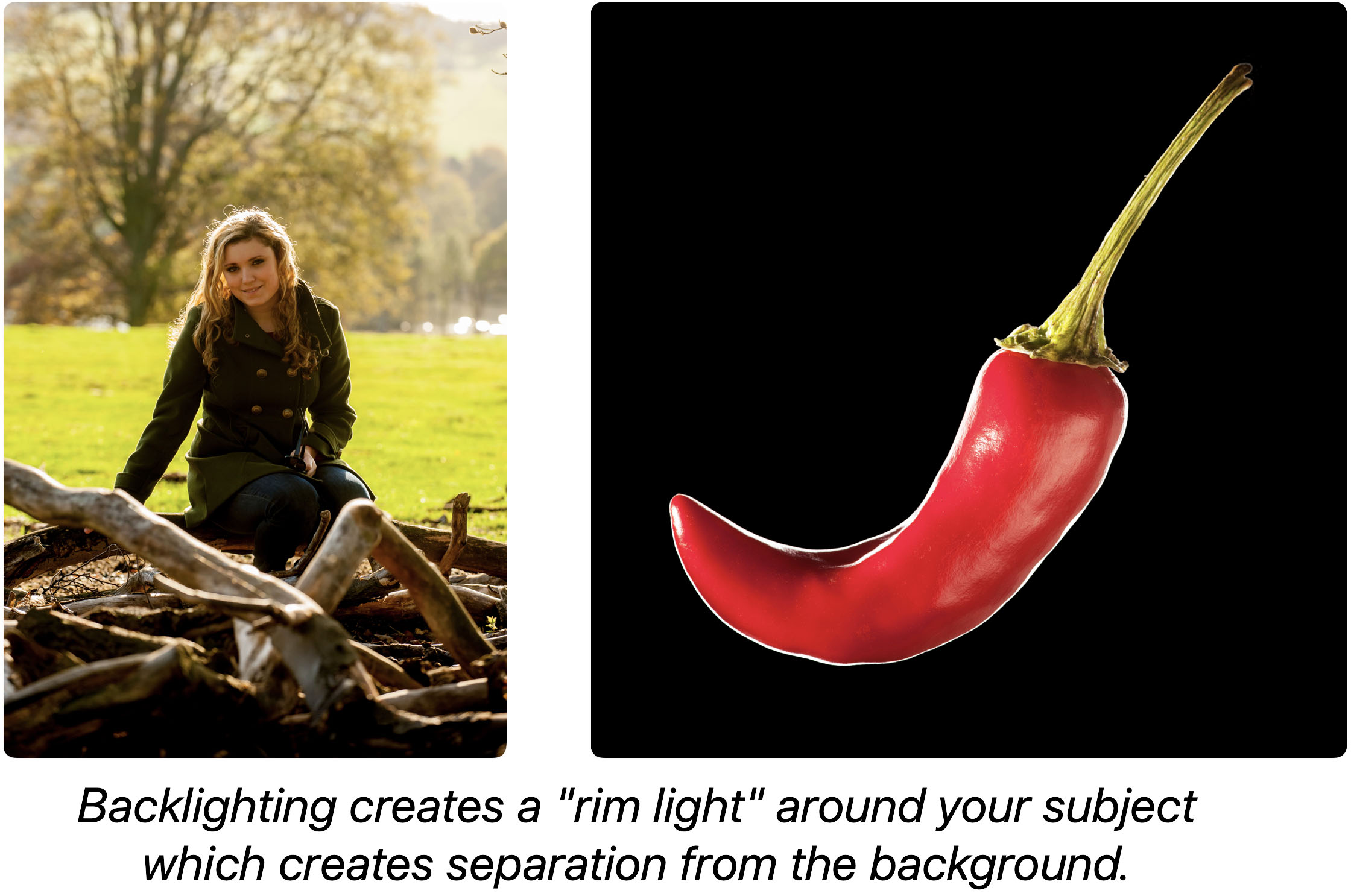 Backlighting creating a halo around subjects making them stand out against the background