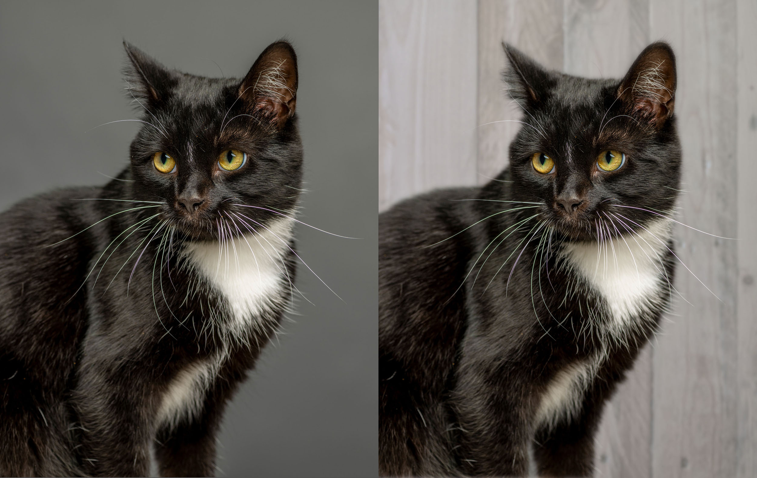 Changing the background in post-production.