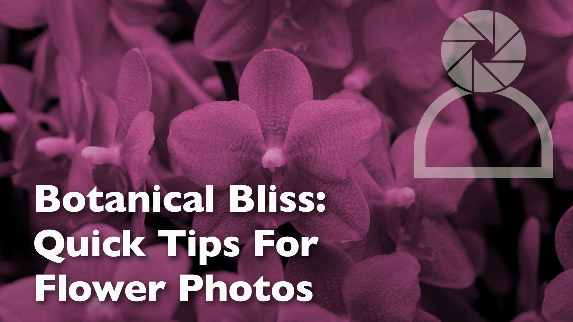 header graphic for a photography blog post with tips for photographing flowers