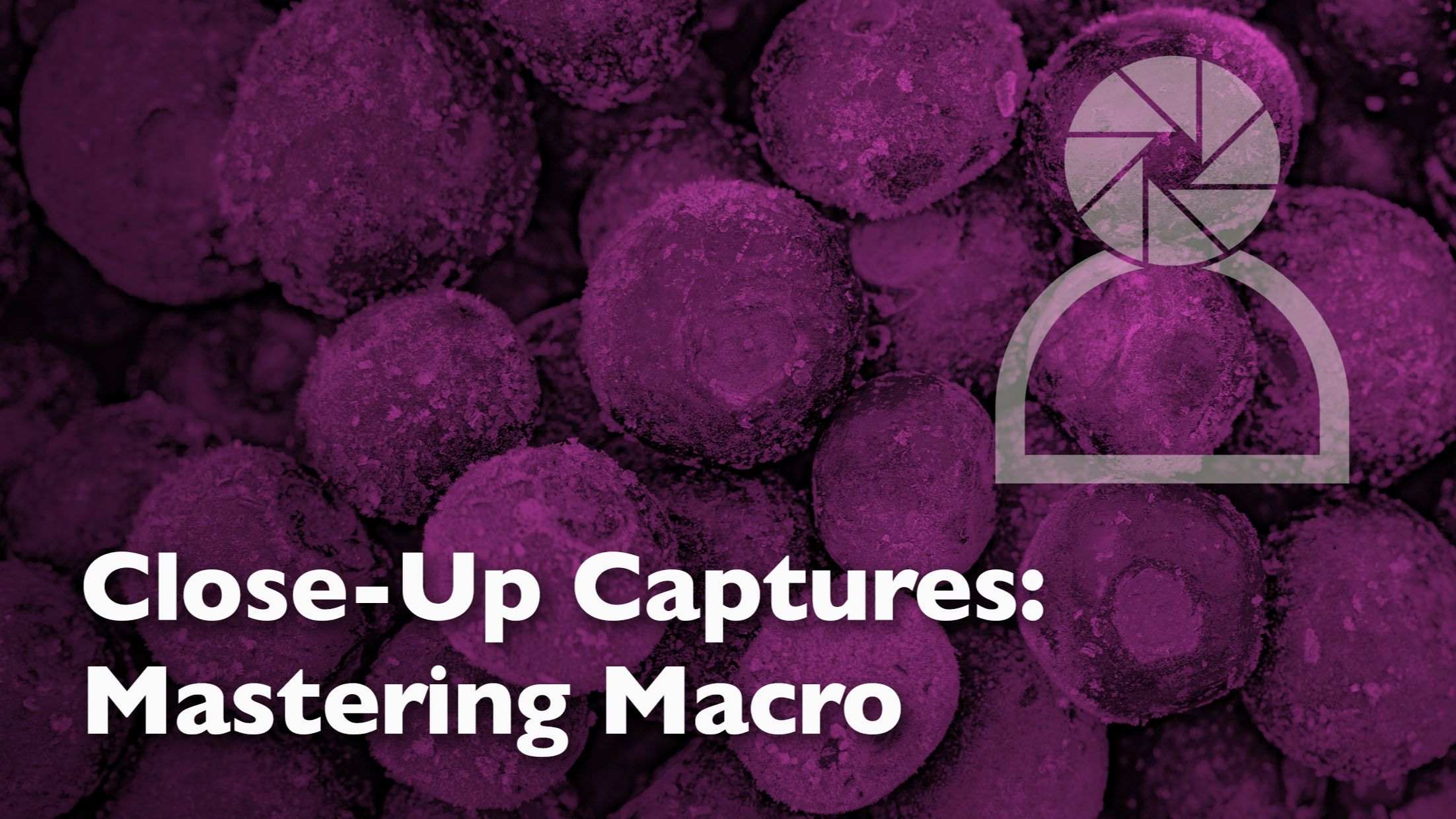 Graphic header image for a photography blog about macro and close-up photography