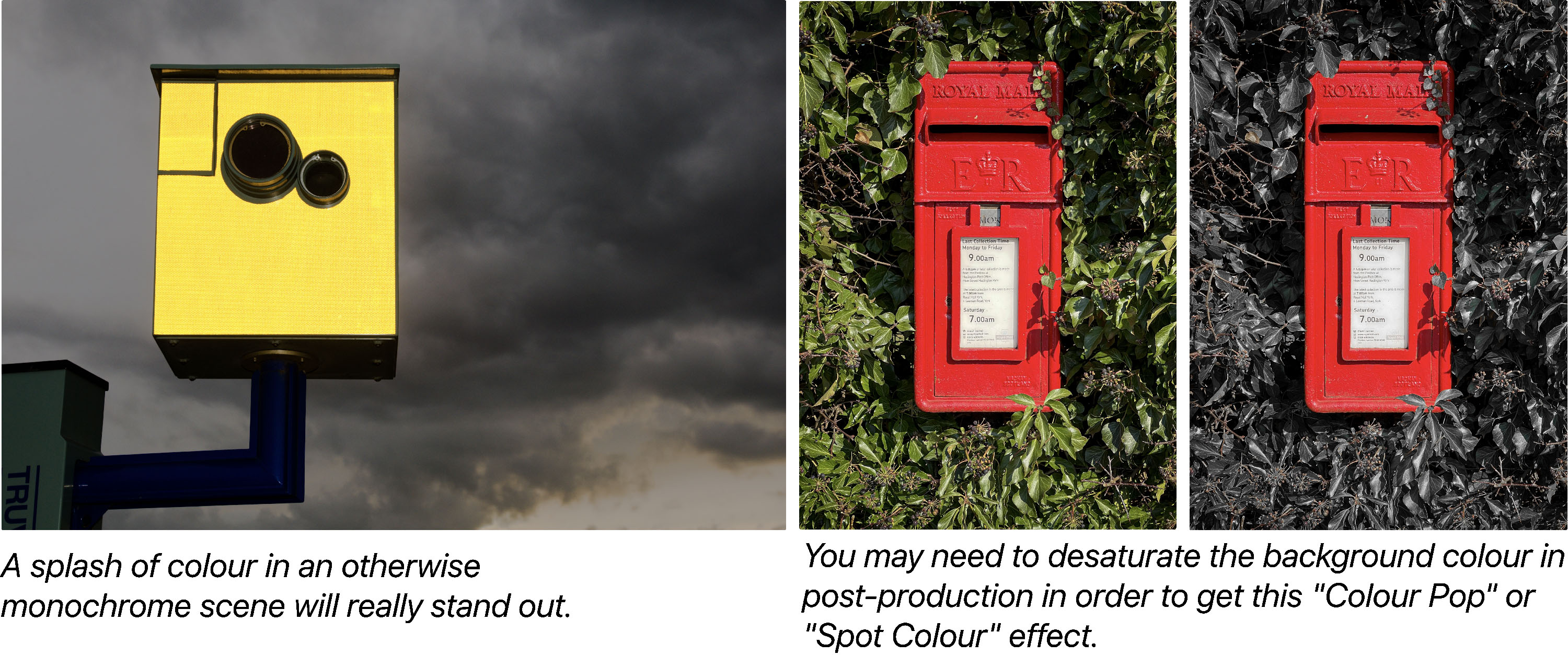 Demonstrating spot colour.