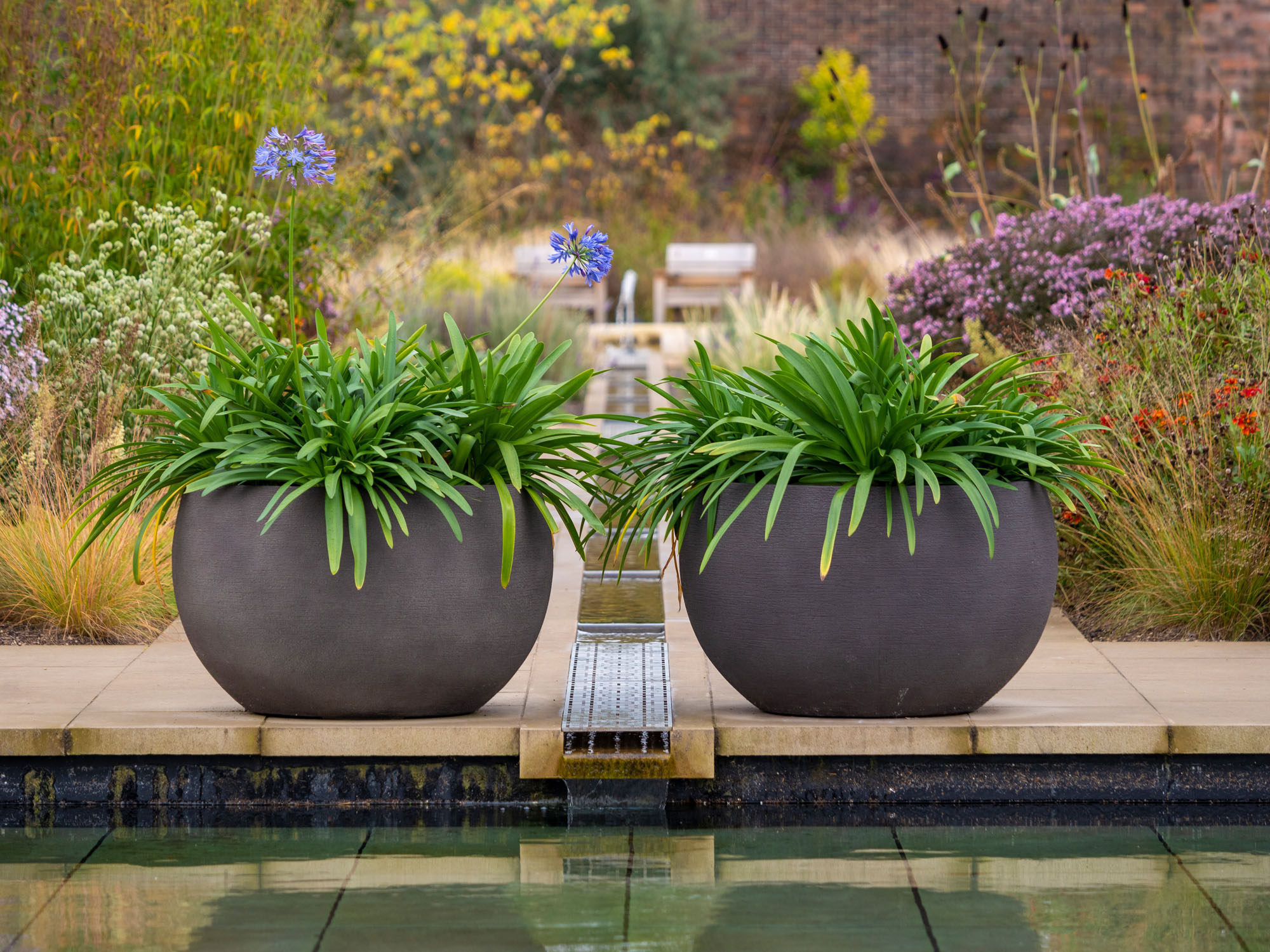 Large plant pots in a garden demonstrating symmetry.