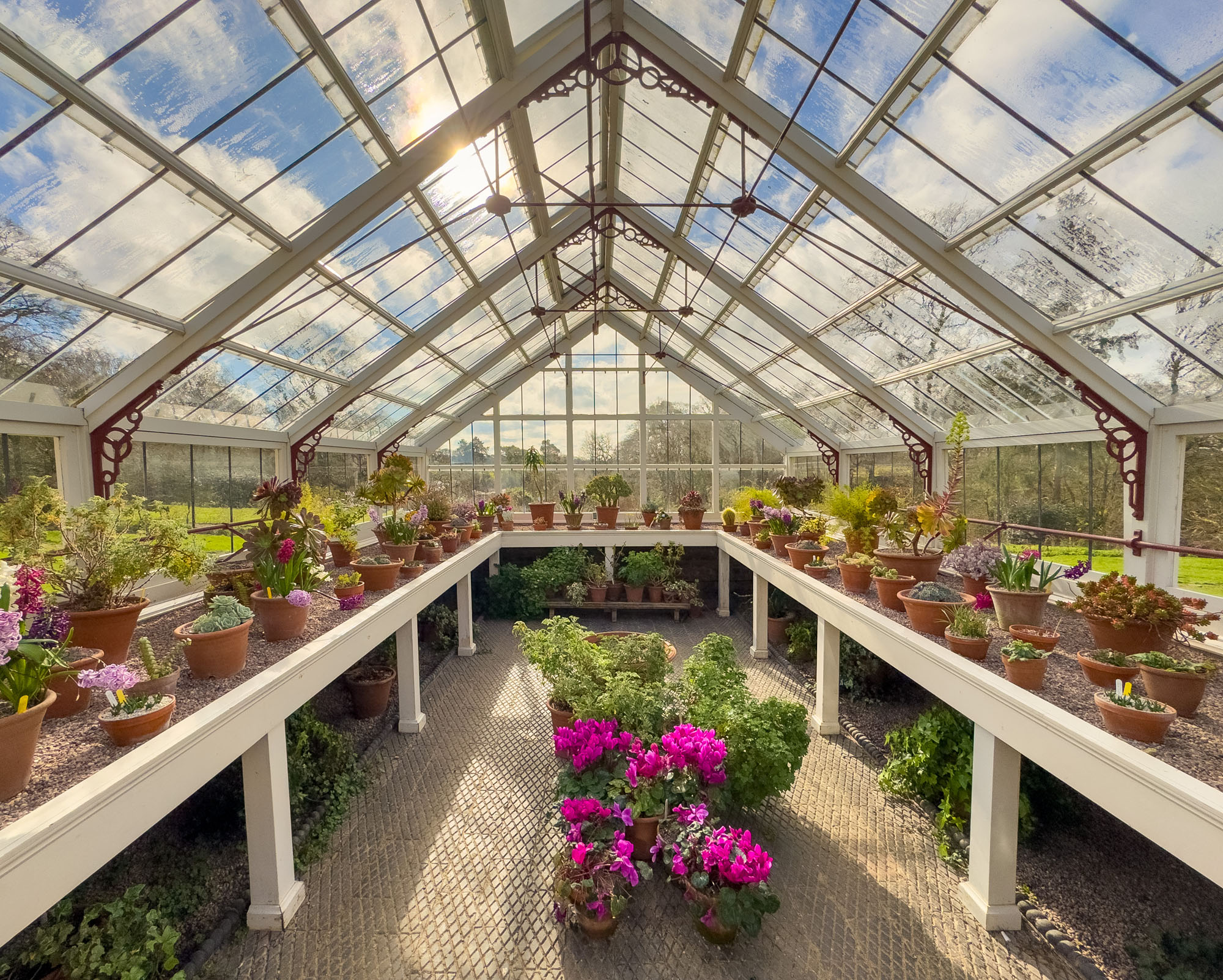 Greenhouse interior demonstrating symmetry.