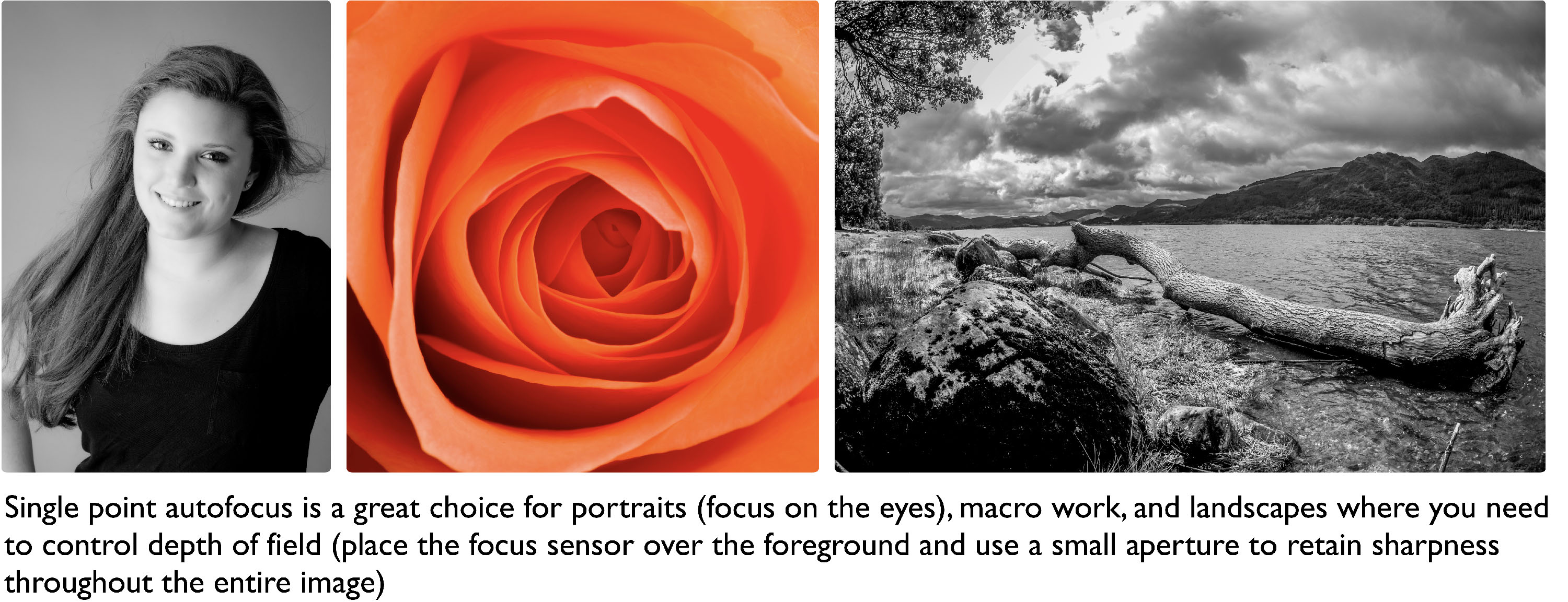 Single point autofocus is a good choice for Portrait, macro and landscape photography.