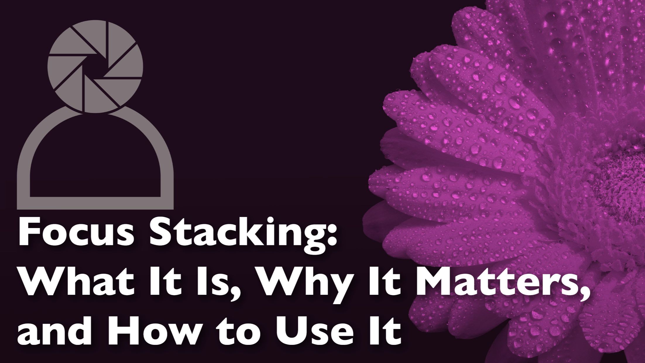 focus stacking in macro photography - what is it, and how to use it