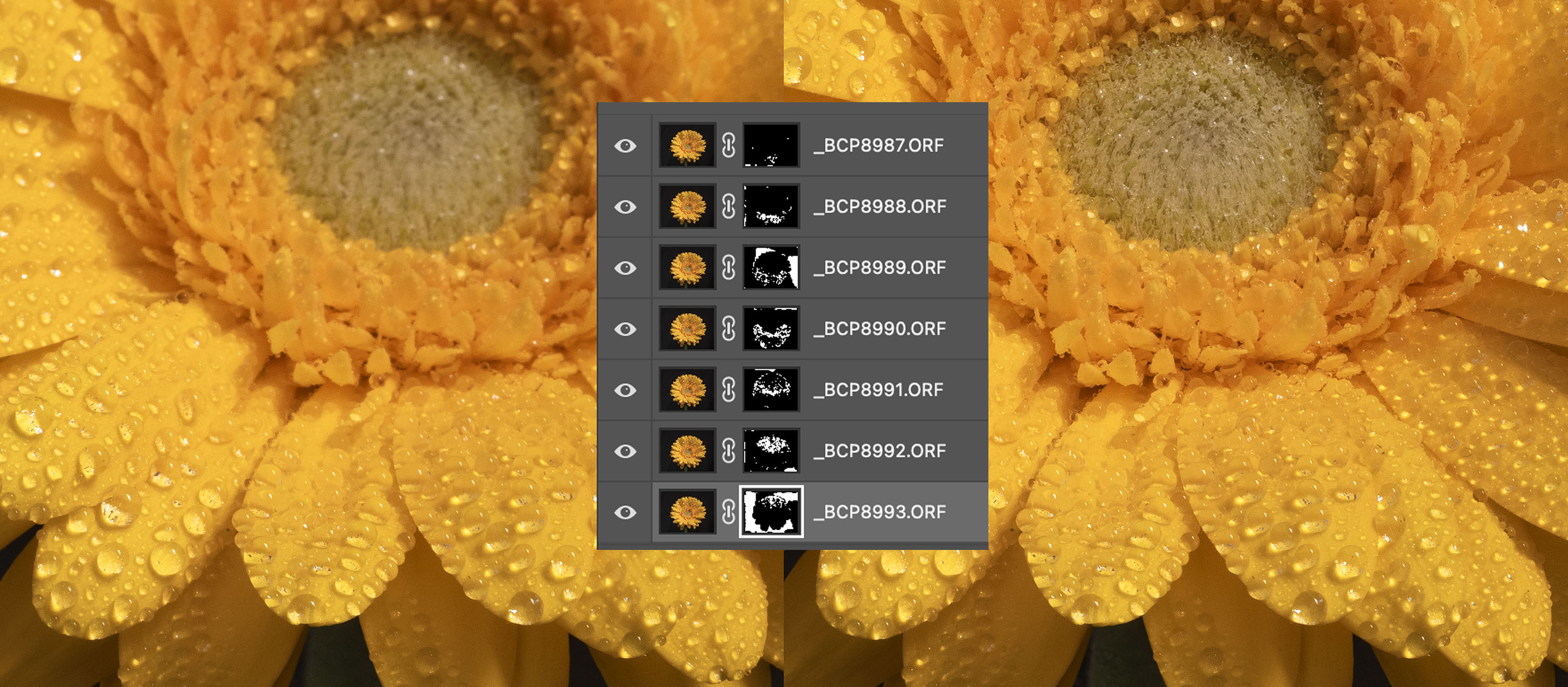 Focus stacking process.
