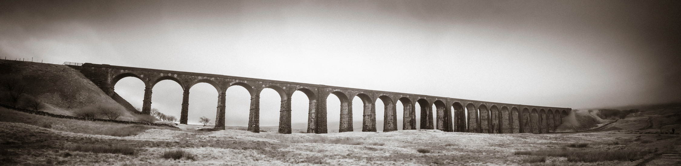 Demonstrating cropping and aspect ratios