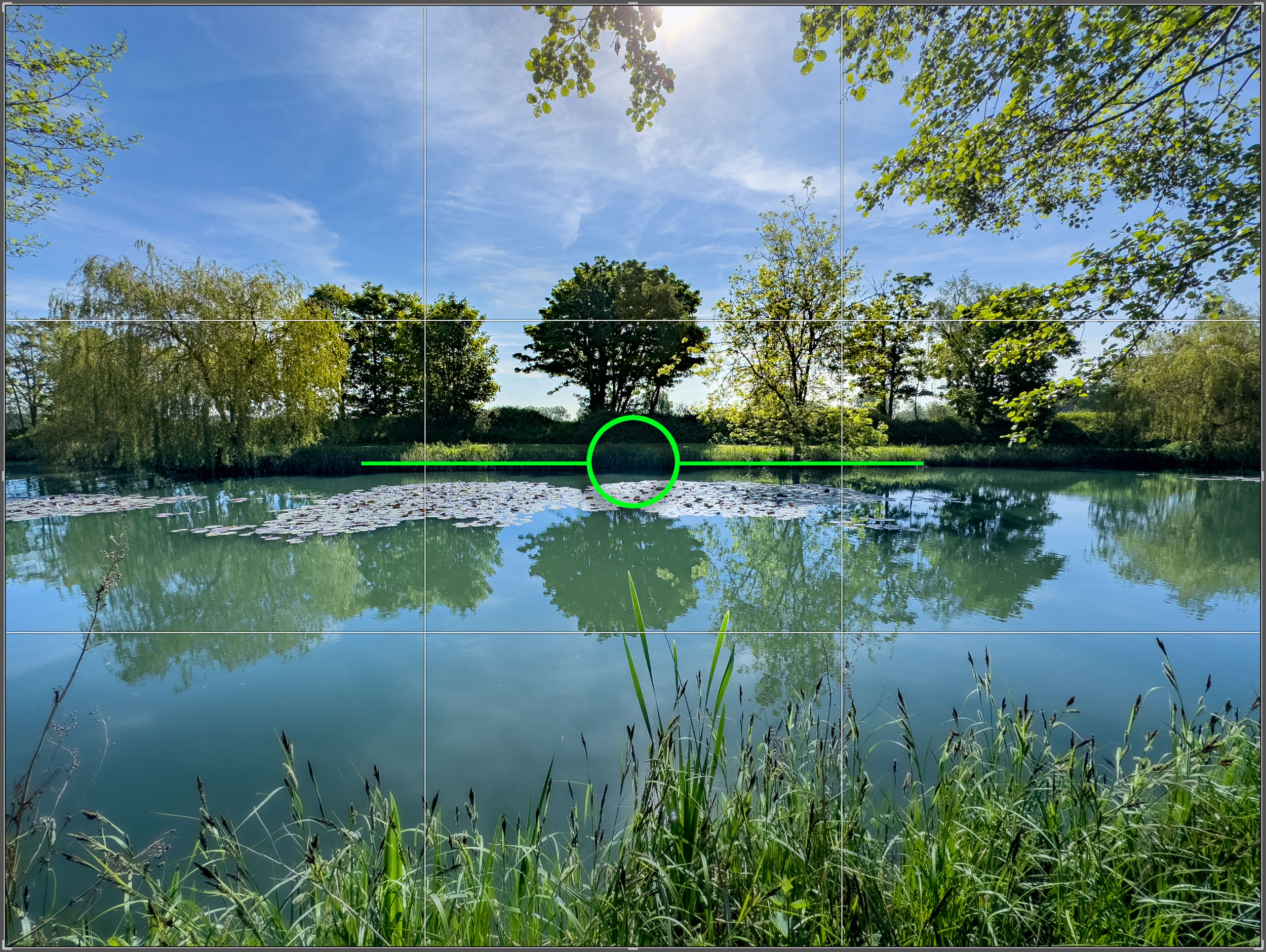 Built-in level indicator, often displayed on the screen or in the viewfinder.