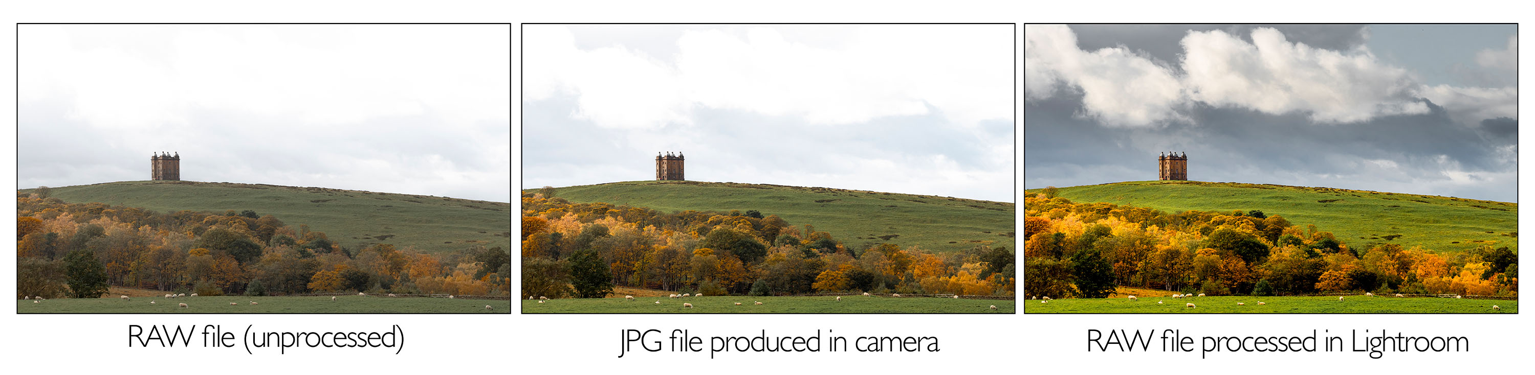 Demonstrating RAW files are the digital negatives, capture all data from your camera's sensor with no in-camera processing.