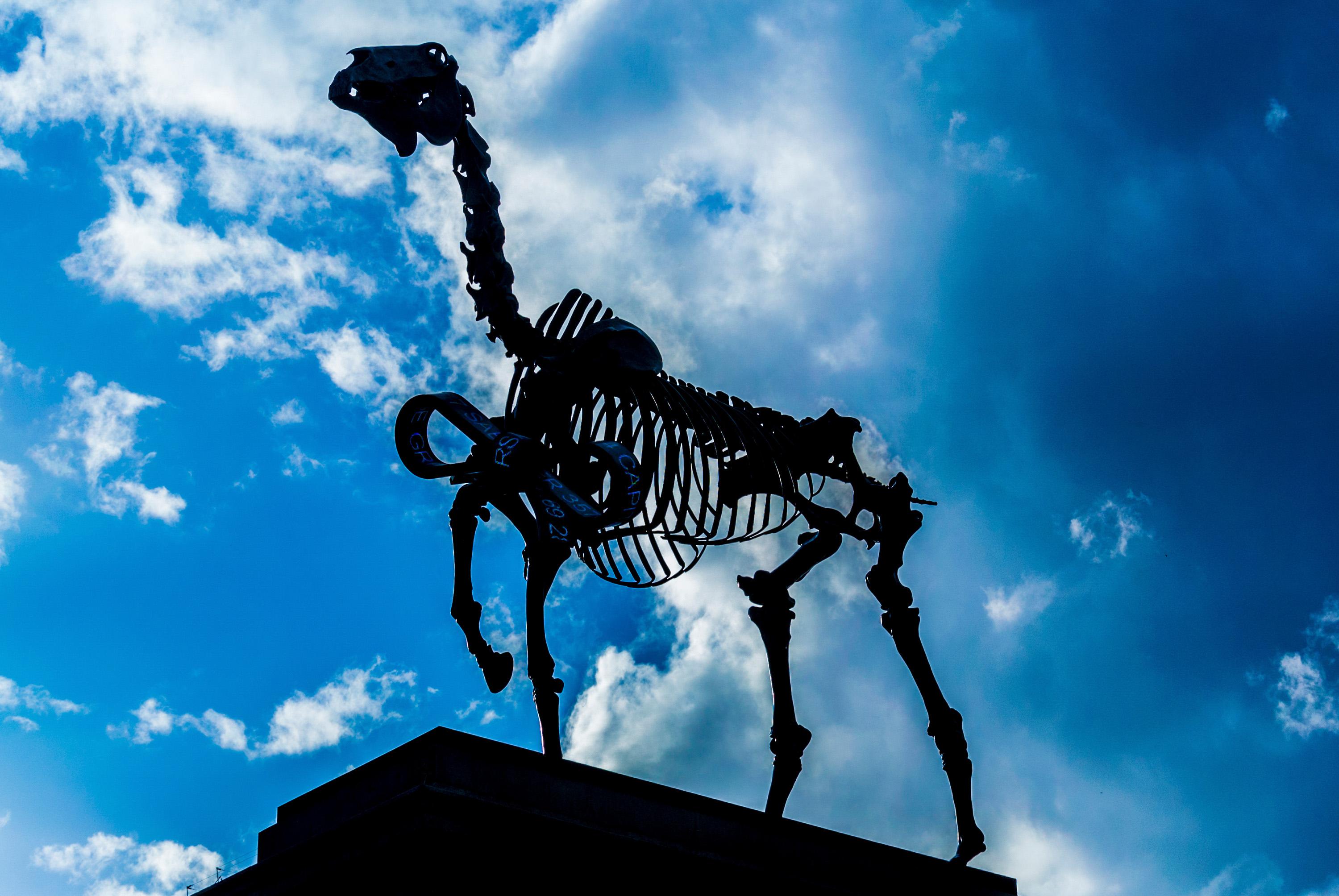 Demonstrating spot metering on a silhouetted statue.