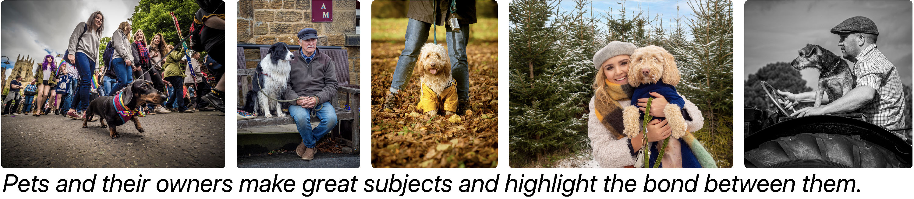 Capturing the bond between pets and their owners.