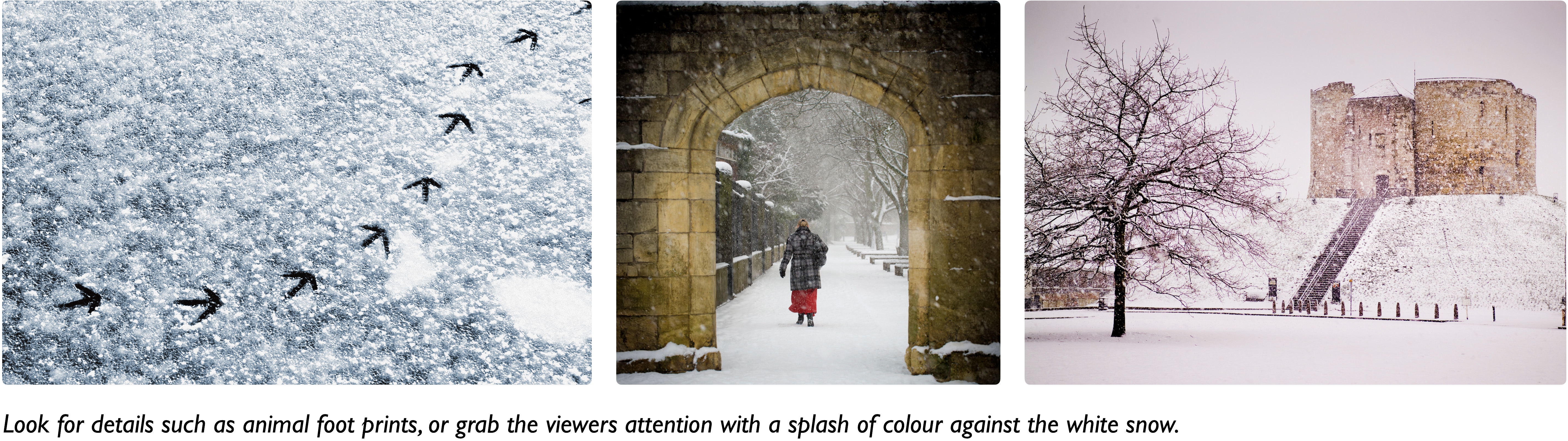 Snow photography