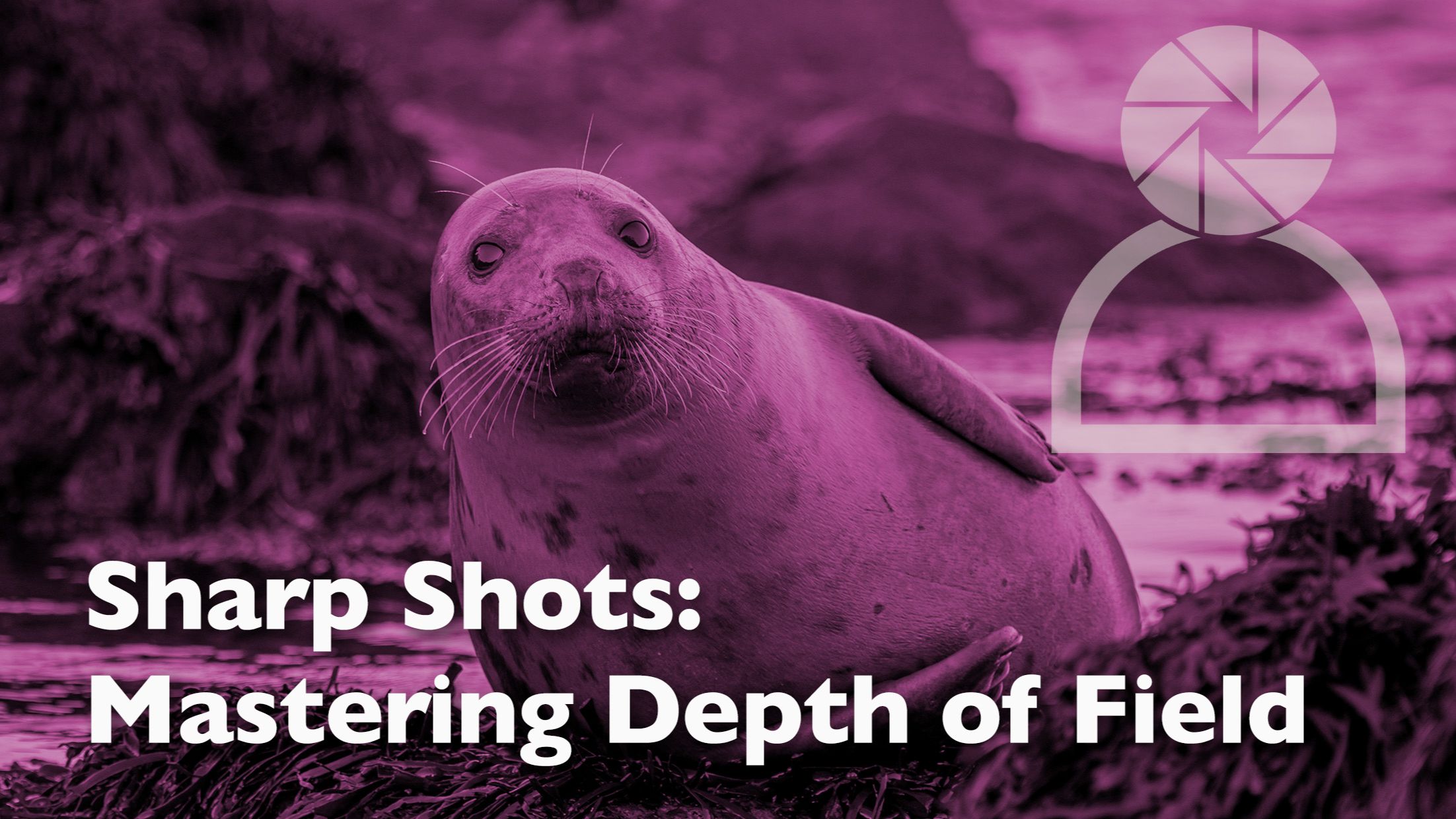 Header graphic for a blog post about depth of field for photographers