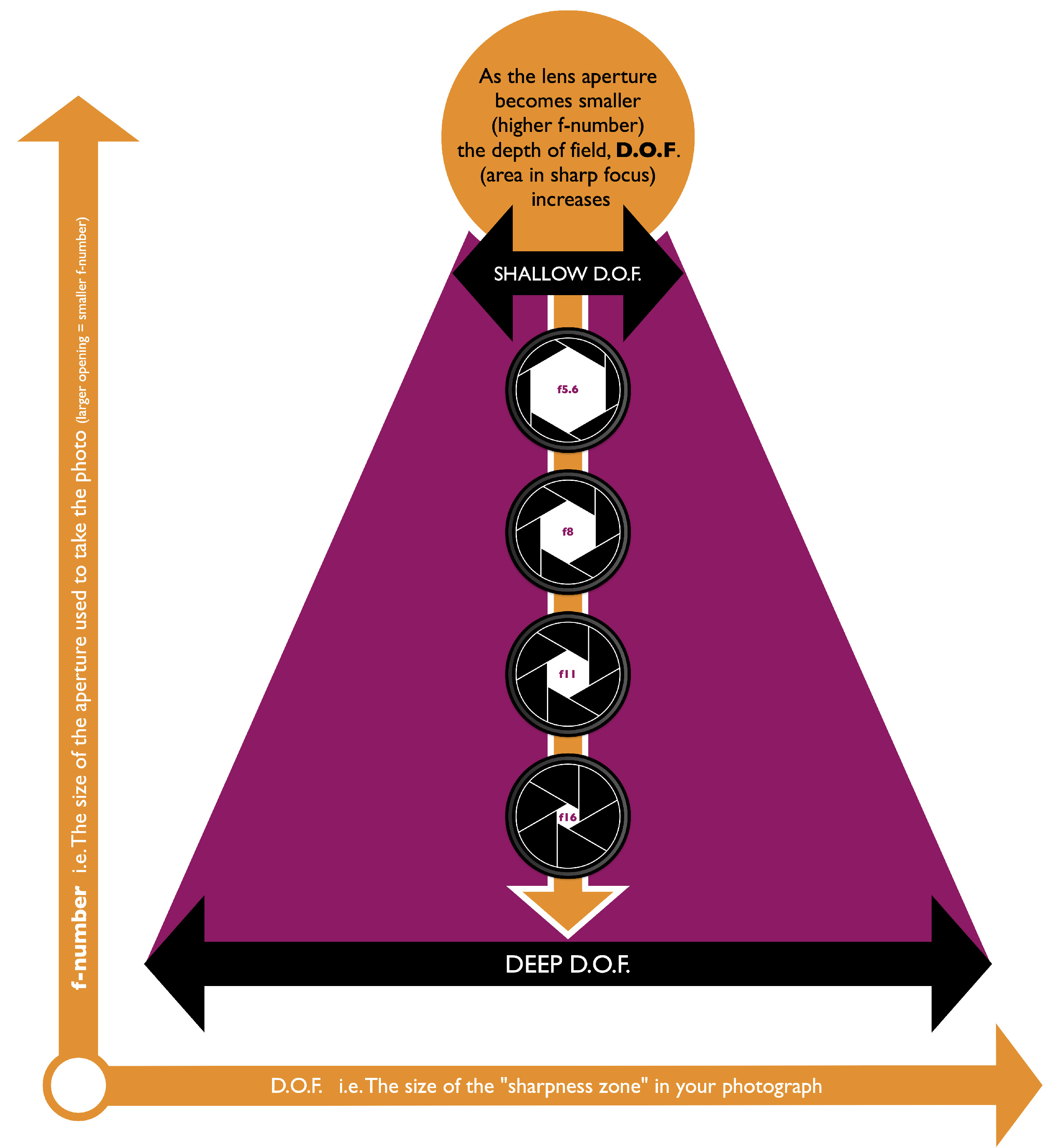 Depth of Field diagram.