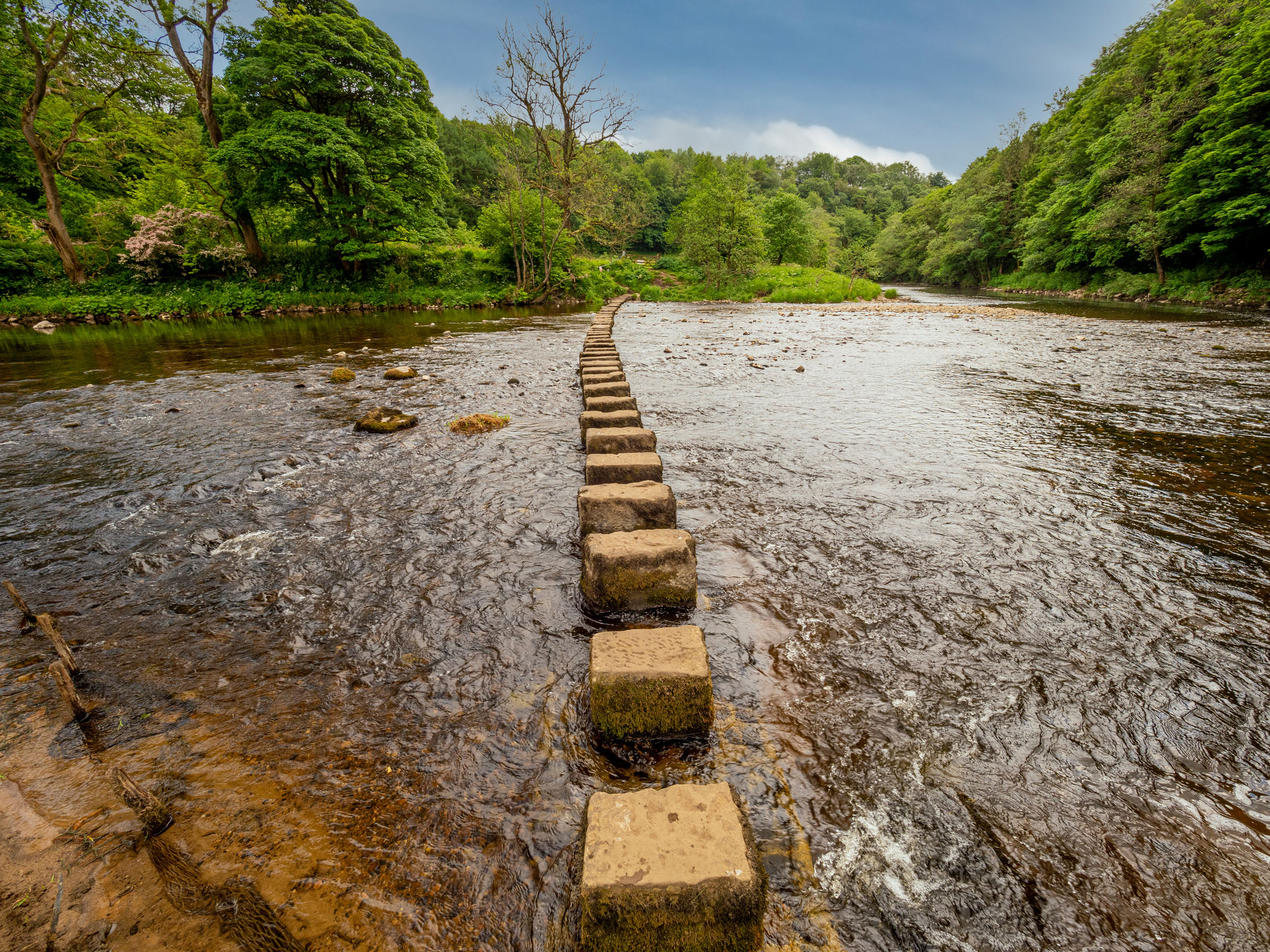 Demonstrating using dept of field in landscape photography to draw the views eye.
