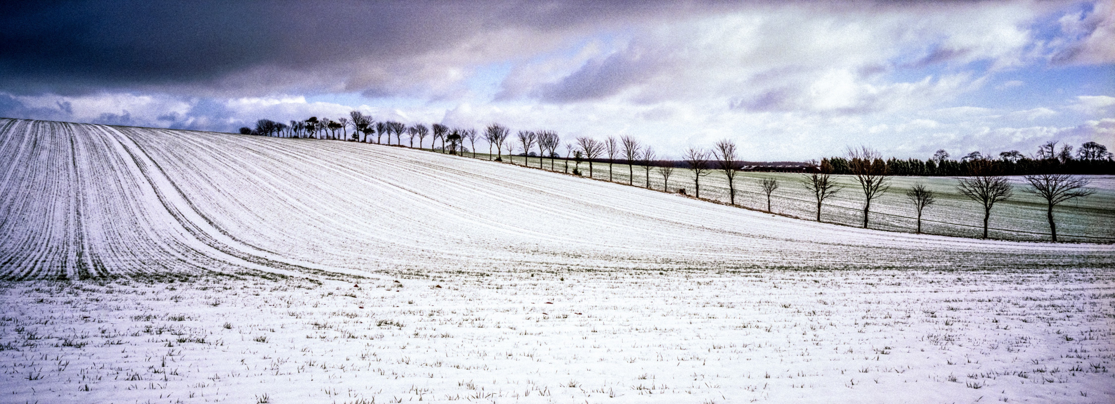 Snowy landscape an example of when a weather resistant camera is a must.