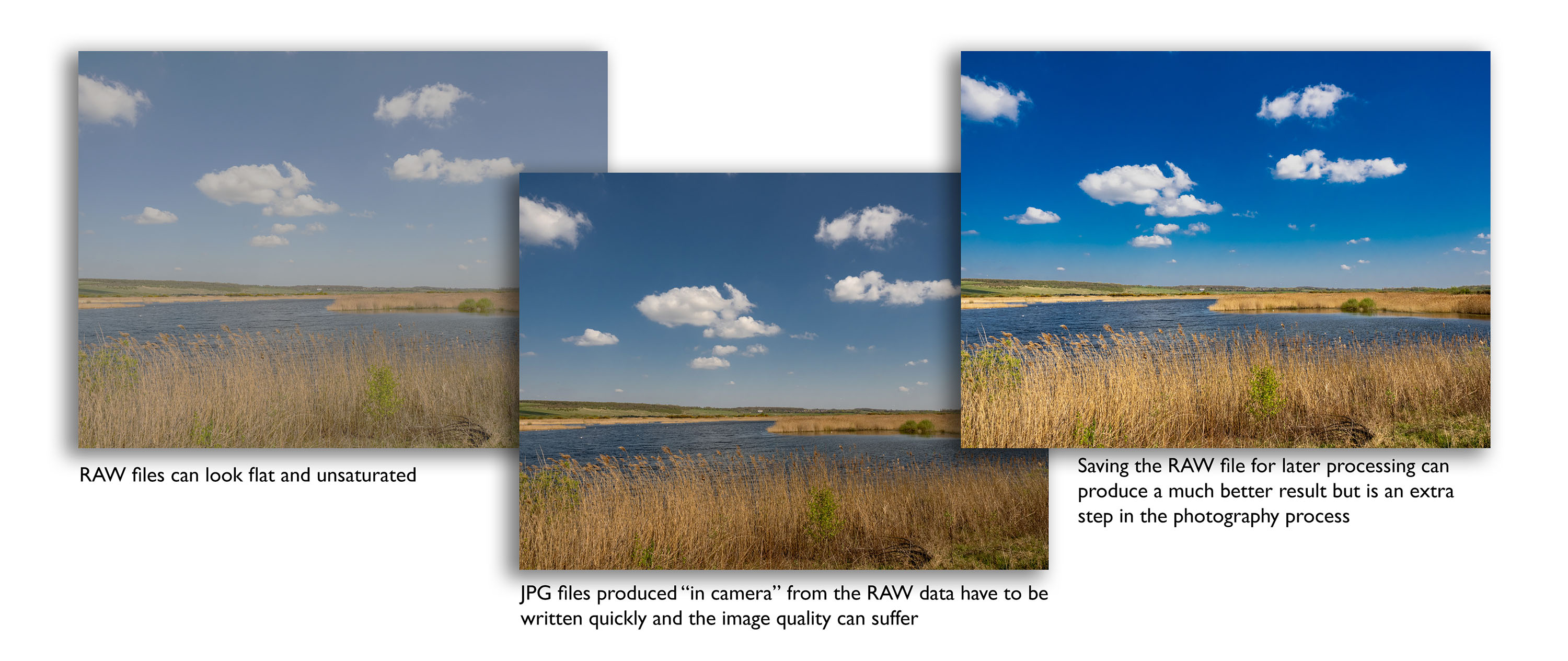 RAW and JPEG comparison.